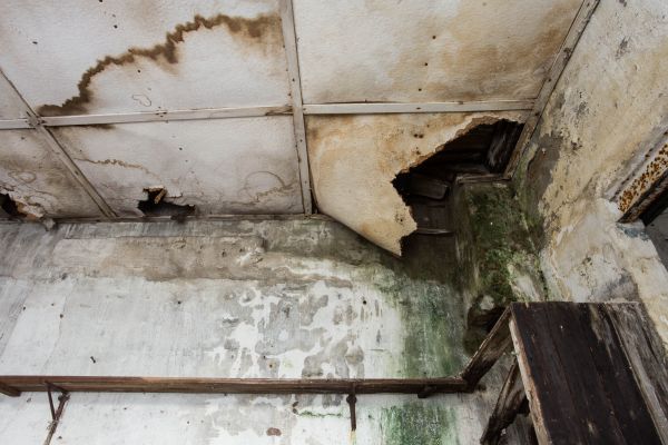 Water Damage Service in Auburn