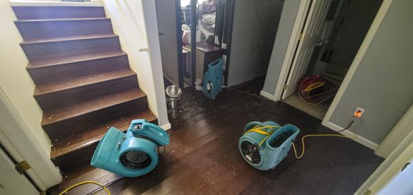 Water Damage Remediation in Auburn