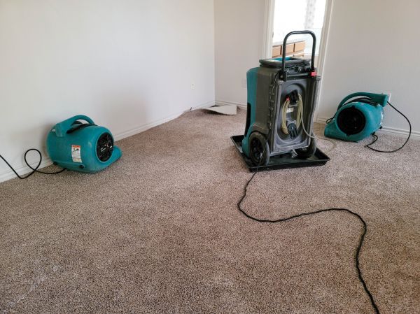 Water Damage Repair in Auburn